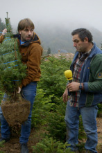 Imagen de El Foraster (T3): Espinelves - 2