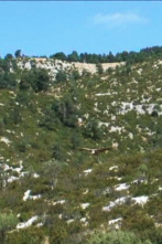 Imagen de Xarxa Natura - 2