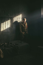 Imagen de Rise of the Nazis: The First Six Months in Power - 2