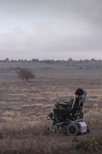Imagen de Viatge d'hivern - 2