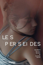 Imagen de Les Perseides - 2