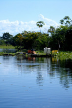 Imagen de Els rius i la vida: El Iang-tsé - 2