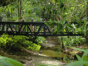 Imagen de Trens singulars: El Japó - 1