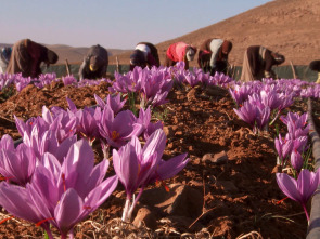 Imagen de Trens singulars: Maroc - 1