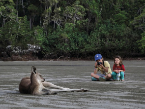 Imagen de El viatge de l'Unai - 1