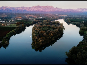 Imagen de L'illa dels Bous - 1