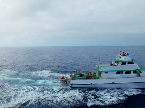 La balena solitària