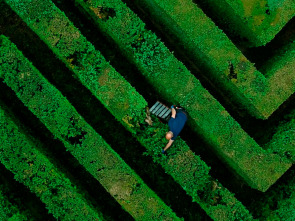 Imagen de After work - 1