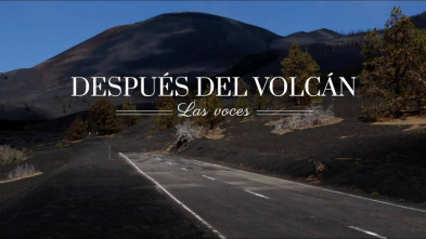 Imagen de Después del Volcán: las voces y los ecos - 3