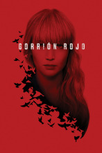 Imagen de Gorrión rojo - 2