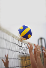 Imagen de Liga femenina de voleibol - 4