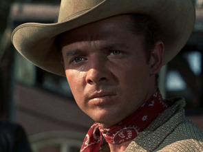 Imagen de Tambores fraternos - 1