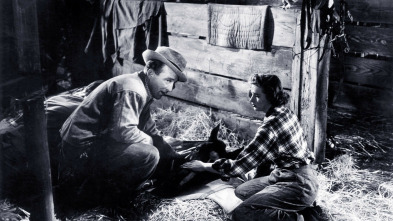 Imagen de En la cumbre de la felicidad - 3