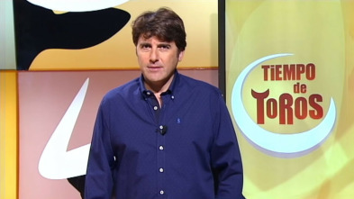 Imagen de Tiempo de toros - 3