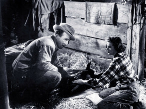 Imagen de En la cumbre de la felicidad - 1