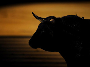 Imagen de Toreo en blanco y negro - 1