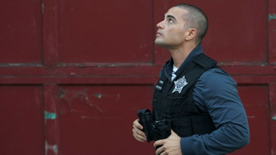 Chicago P.D. (T10): Ep.19 Purgado