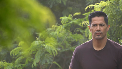 Imagen de Magnum (Temp. 5) (T5): Ep.11 Atropello y fuga - 4