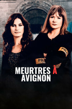 Imagen de Asesinato en Avignon - 4