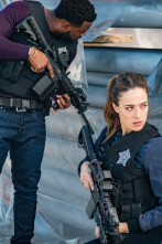 Imagen de Chicago P.D. (T7): Ep.15 El peso de la verdad - 4