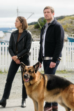 Imagen de Hudson y Rex (T5): Ep.2 Sonado - 3