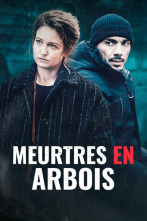 Imagen de Asesinato en Arboix - 4
