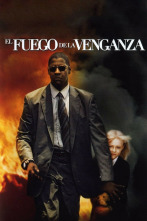 Imagen de El fuego de la venganza - 9