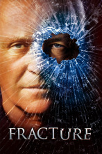 Imagen de Fracture - 12