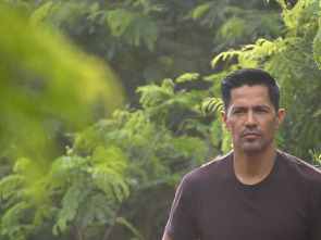 Imagen de Magnum (Temp. 5) (T5): Ep.11 Atropello y fuga - 2