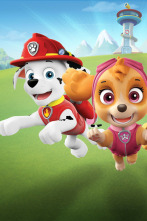 La patrulla canina Single Story