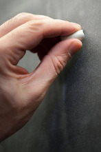 Imagen de Aprendemos en... (T2): ¿Por qué los árboles pierden sus hojas en otoño? - 2