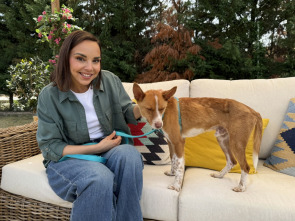 Imagen de Dog House - 1