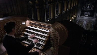 Imagen de In the Organ's Stomach - 5