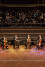 Imagen de Los 12 violonchelistas de la Filarmónica de Berlín - 2
