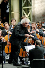 Imagen de Brahms, Doble Concierto en la menor Op. 102 - 2