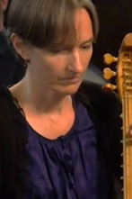 Imagen de El consuelo secreto de Tinctoris - 2