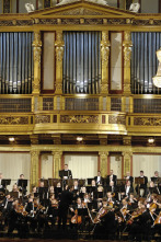Imagen de Bruckner - Sinfonía n.º 9 - 2