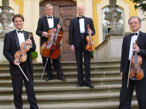 Imagen de Mozart - Cuarteto de Cuerda nº 14, ''Primavera'' - 1