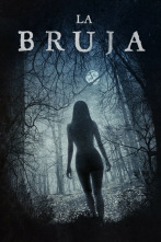 Imagen de La bruja - 4