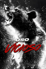 Imagen de Oso vicioso - 2