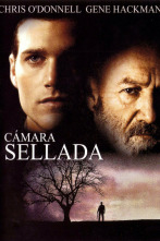 Imagen de Cámara sellada - 4