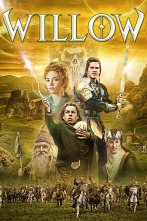 Imagen de Willow - 7