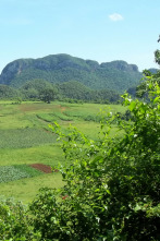 Imagen de Naturalmente - 2