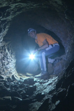 Imagen de Naturaleza viva - 2