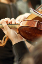 Imagen de Concierto Novena Sinfonía de Beethoven - 2