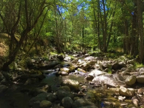 Imagen de Parques naturales - 1