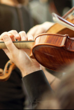 Imagen de Concierto conmemorativo Joaquín Rodrigo & Antonio Salieri - 4