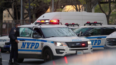 Crímenes en Nueva York: Desaparición en Brighton Beach