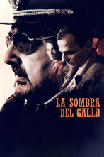 La sombra del gallo