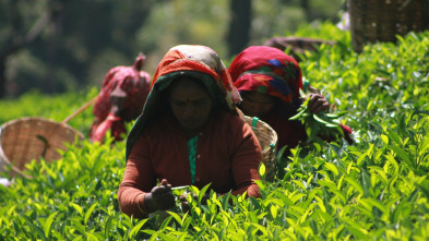 Imagen de ¿Cómo lo hacen?: Cascos, té, central eléctrica de Siekierki - 3
